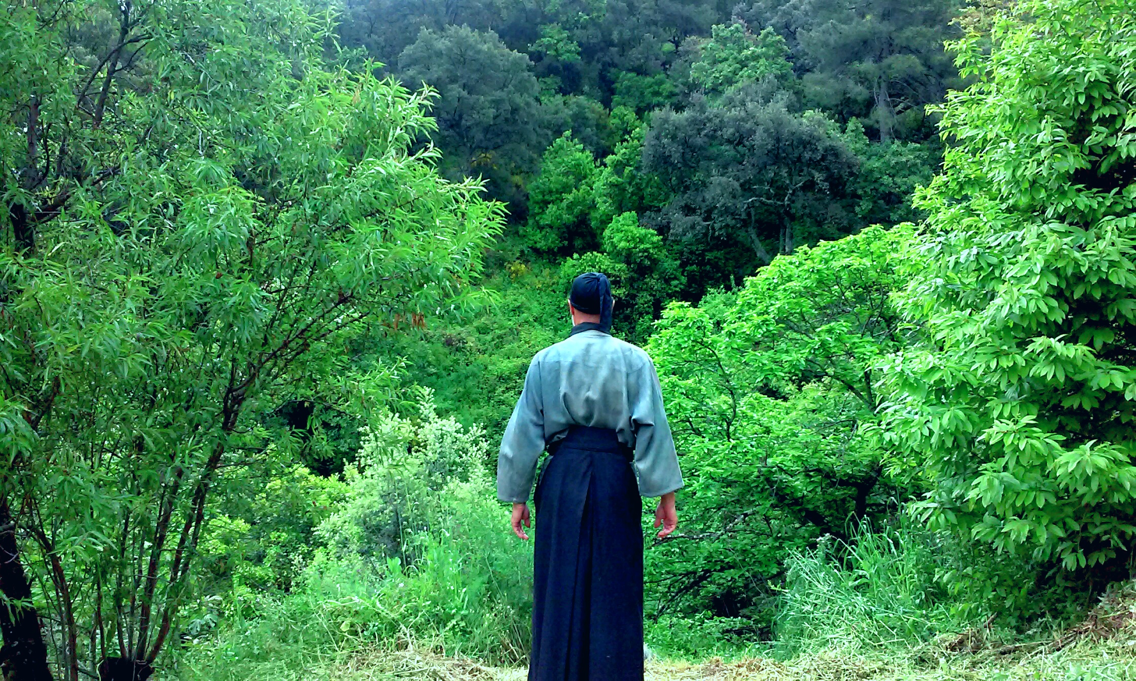 que-es-baño-de-bosque,que-es-shinrinyoku,historia-shinrinyoku,historia-bañodebosque,bañodebosque-pdf,pionero-bañosdebosque,guia baños de bosque, formacion guia baños de bosque,forest therapia,terapia forestal