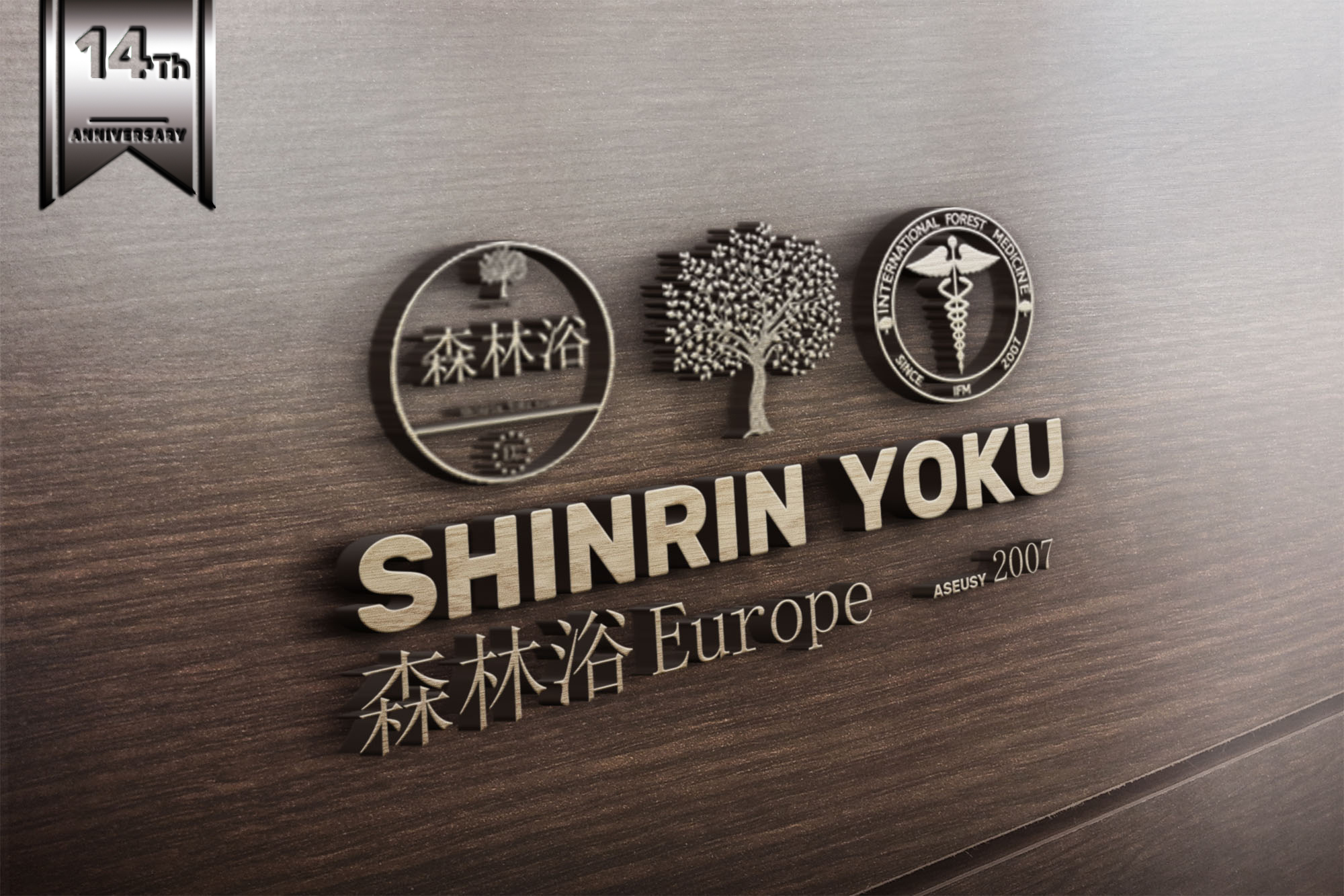 ASEUSY,asociacion-europea-shinrinyoku,forestbathing,foresttherapy,forestmedicine,foresttherapyguide,banydebosc,baindeforet,naturetherapy,medicinaforestal