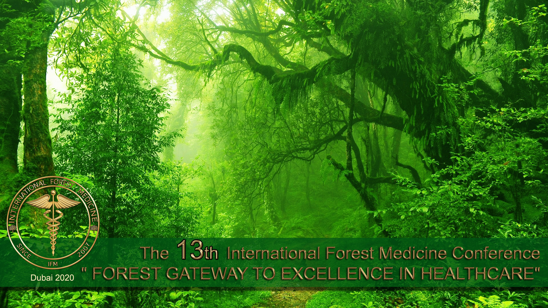 Ekstrem fattigdom uld tag et billede The 13th International Forest Medicine Conference✓ IFM|INTERNATIONAL FOREST  MEDICINE©