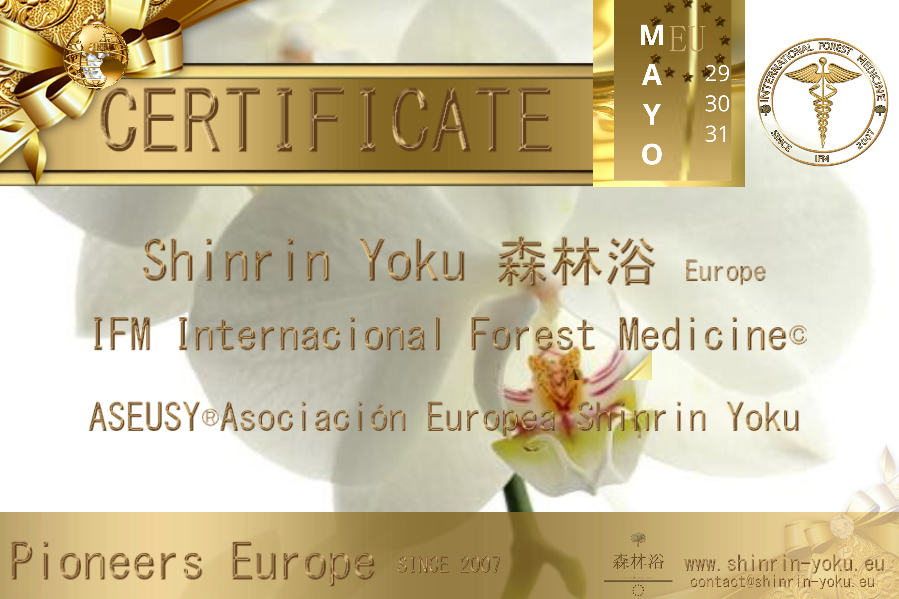 Cursos de formación Internacional Shinrin-Yoku