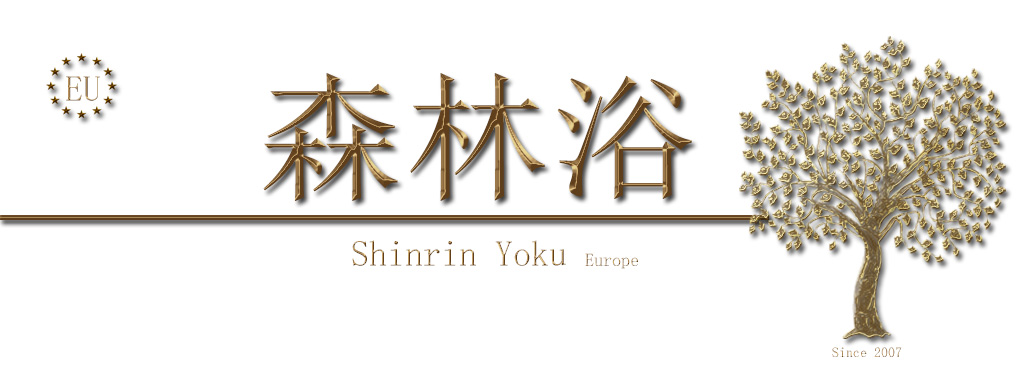 Logotipo y Cabecera de Samurai Spain