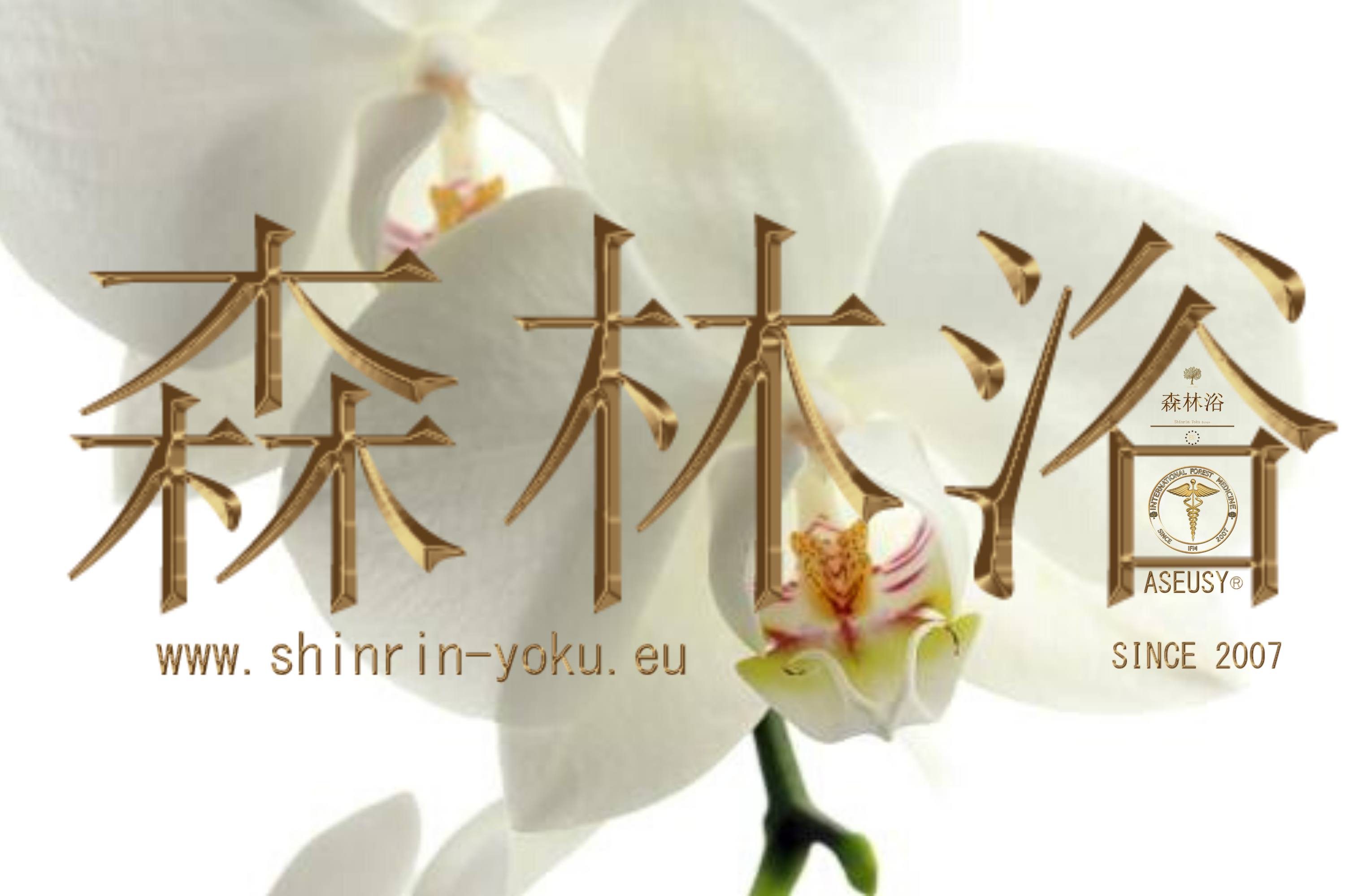 DKV de la Vida Saludable Shinrin-Yoku