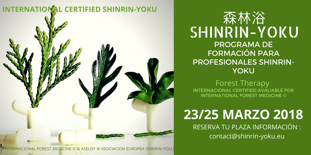 curso profesional formacion Shinrin-Yoku