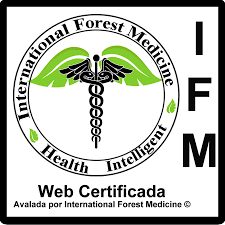 Certificado Web IFM